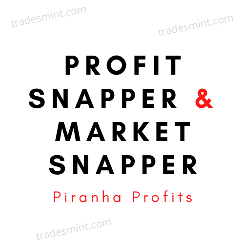 Stock Trading Course Level 1 Piranhaprofit Profit Snapper 