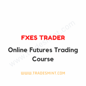 FXES Trader - Online Futures Trading Course