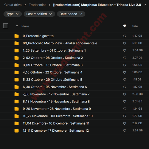 Morpheus Education - Trincea Live 2.0 - Image 2