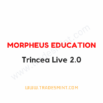 Morpheus Education - Trincea Live 2.0