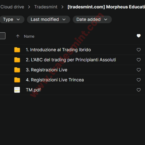 Morpheus Education - Hybrid Trading Accelerator PRO - Image 2