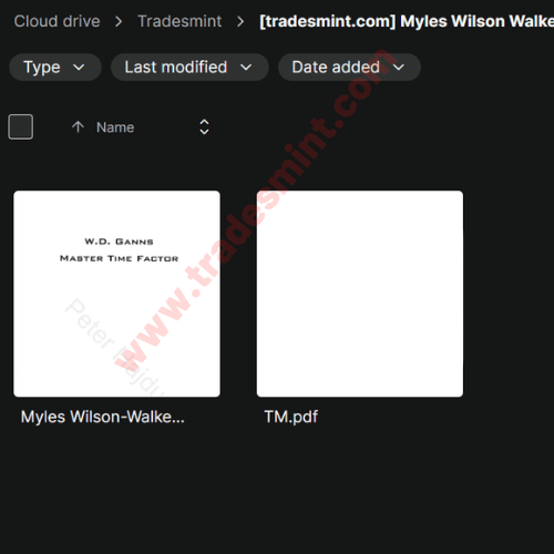 Myles Wilson Walker - Master Time Factor eBook - Image 2