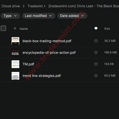 Chris Leet - The Black Box Trading Method - Image 2