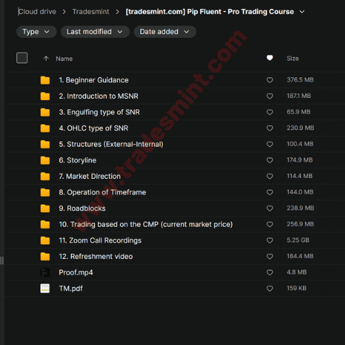Pip Fluent - Pro Trading Course - Image 2