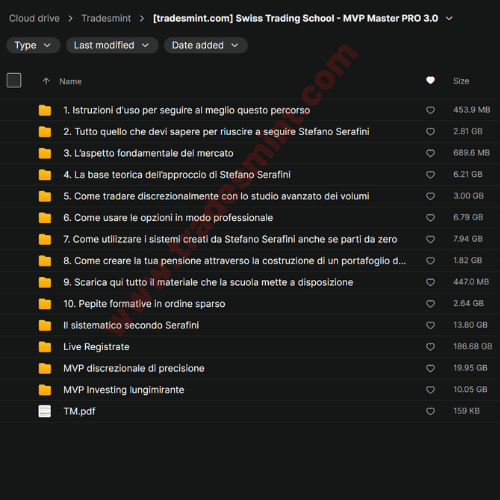 Swiss Trading School - MVP Master PRO 3.0 - Image 2