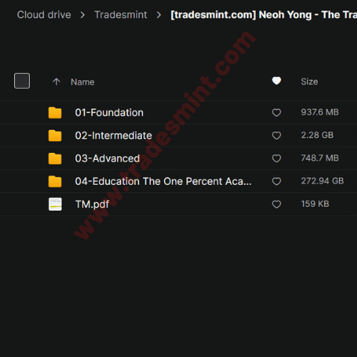 Neoh Yong - The Transformation Course - Image 2