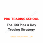 Pro Trading School - The 100 Pips a Day Trading Strategy