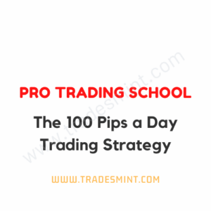 Pro Trading School - The 100 Pips a Day Trading Strategy